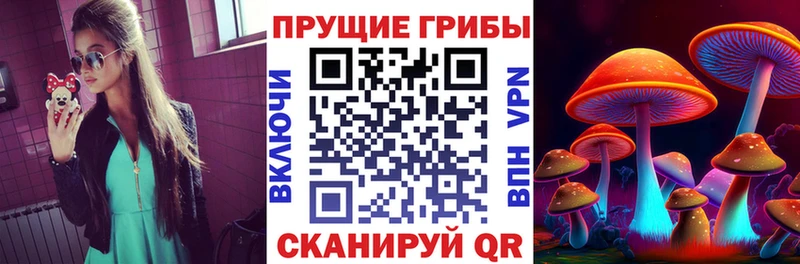 Псилоцибиновые грибы MAGIC MUSHROOMS  ОМГ ОМГ как зайти  Чухлома 